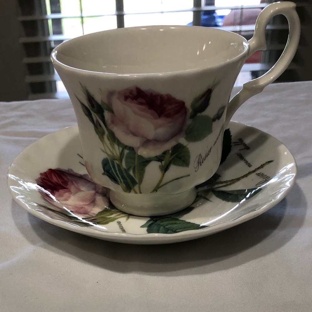 Redoute Roses Roy Kirkham, Fine Bone China,England